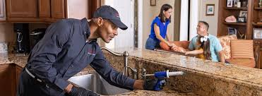 Professional Pest control in Palm Valley, TX